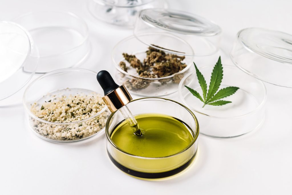 genética del cannabis y diferencia entre cbd y thc