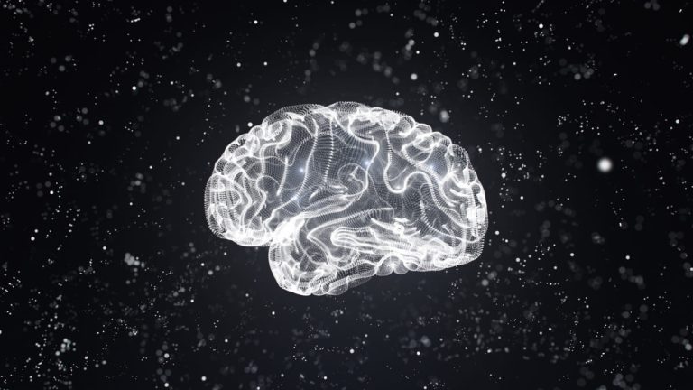Cerebro