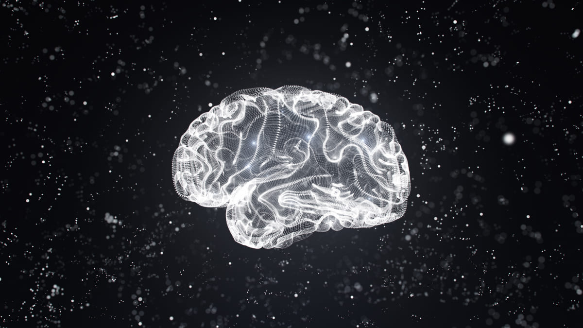 Cerebro