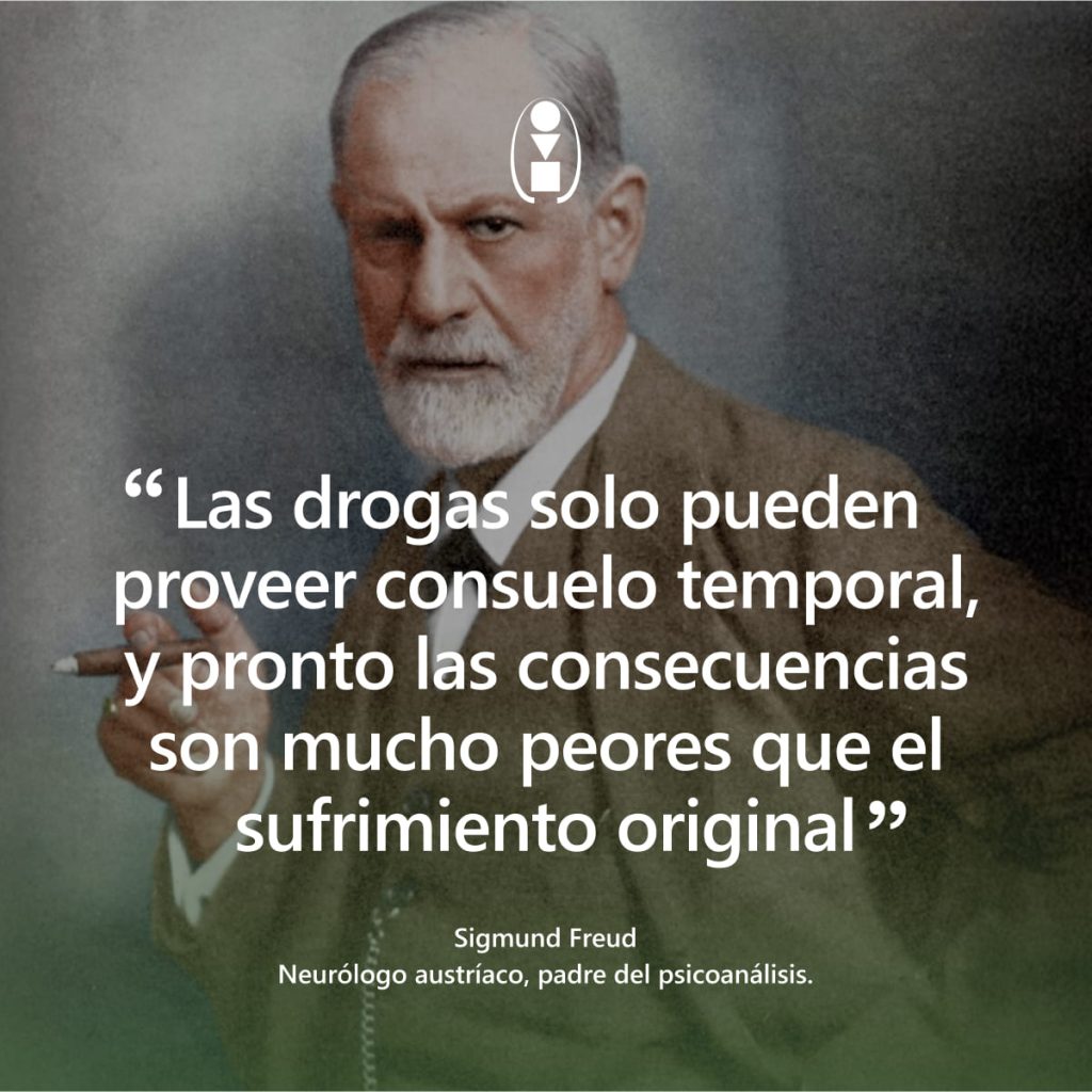 frase Sigmund Freud 
adicción