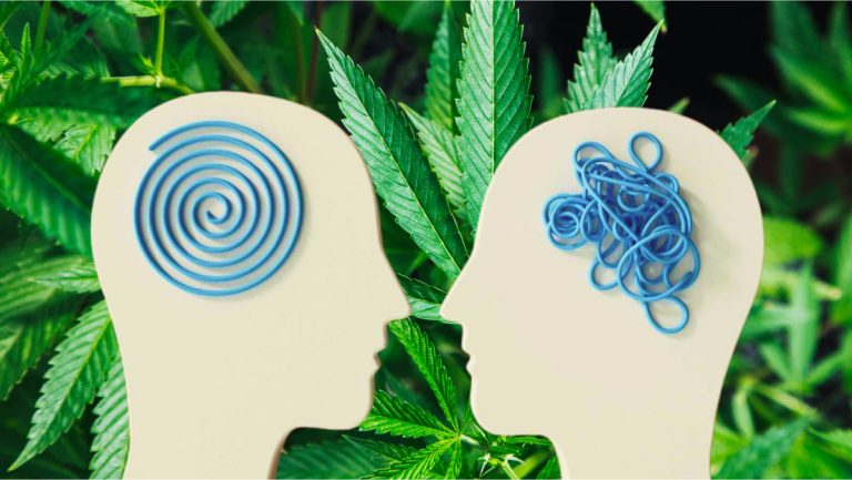 cannabis y esquizofrenia
