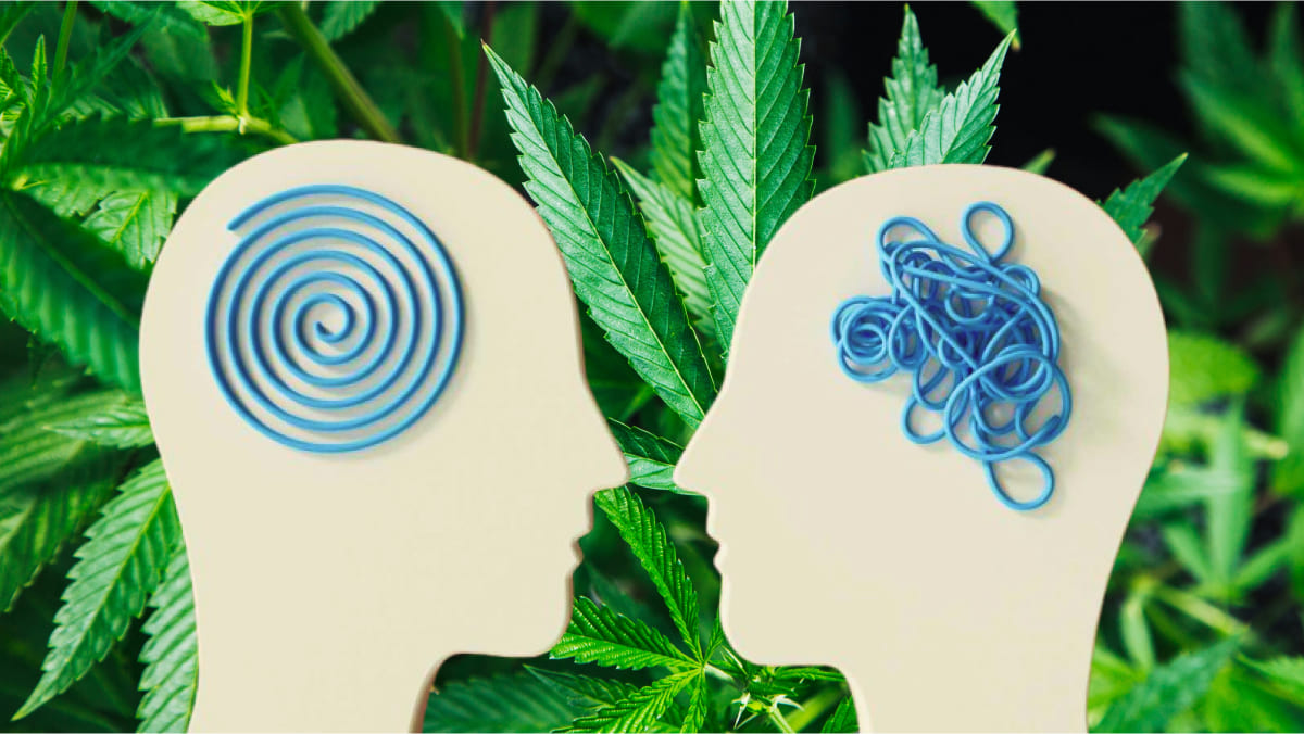 cannabis y esquizofrenia