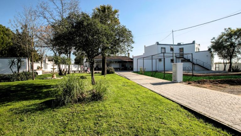 En que consiste el centro de drogas