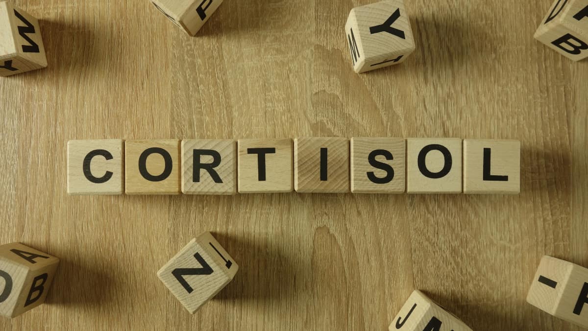 El cortisol y su relación con el alcohol